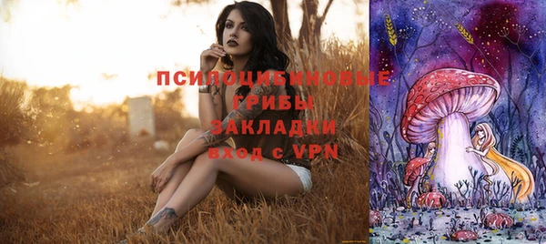 скорость Саяногорск